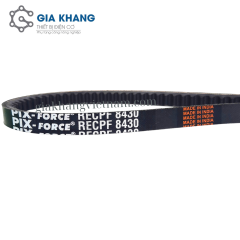 Dây  Curoa Răng PIX B-43(8430)