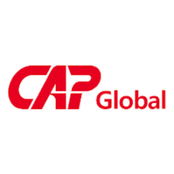 GẠT MƯA VIEWMAX (CAP)